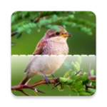 Logo of Bird ID - Picture Identifier android Application 